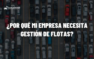 ¿Por qué mi empresa necesita gestión de flotas?